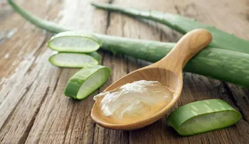 La sábila o aloe vera, para qué sirve y cómo beneficiar tu salud con ella