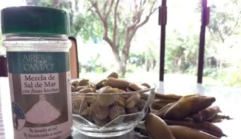 Futbol, botanas, refresco y colesterol alto