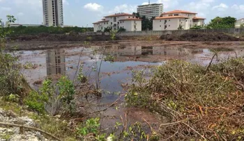 ¿Ecocidio? Ciudadanos buscan evitar la destrucción de un manglar en Cancún