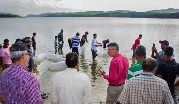 Falcondo, Codopesca, Universidad ISA y el Cimpa liberan 50 mil peces en presa Rincón