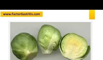 Cómo quitar la gastritis para siempre (VIDEO)
