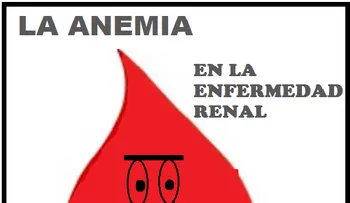 Tipos de anemia en función de su origen
