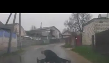 Solo en Bielorrusia: Un hombre detiene un coche para mostrarle cómo se despatarra