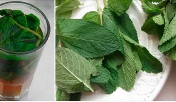 Toma un vaso de esto y dejarás tu higado como nuevo de una sola vez