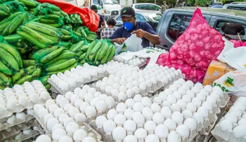 Gobierno dispone la venta de huevos a tres pesos a través del Inespre