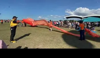 El video insólito del fin de semana 