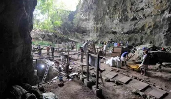 Hallan una nueva especie de homínido en Filipinas de finales del Pleistoceno