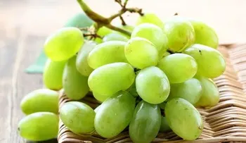 Pomadas con ingredientes naturales para arrugas en el rostro