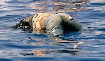 Se ahoga hombre en playa La Romana