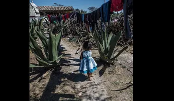 Los mejores fotógrafos de Instagram