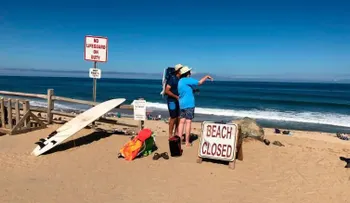 Un presunto ataque de tiburón deja un muerto en Cape Cod, Massachusetts