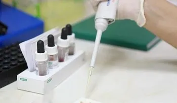 Las bacterias resistentes de tifus se han propagado por todo el planeta