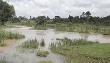Descubren gigantesca reserva de agua en África abastecería más de 100 millones de personas