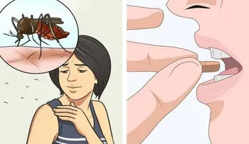 Toma esta vitamina y nunca más serás picada por un mosquito