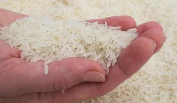 Coloca en un frasco un puñado de arroz crudo y 3 granos de pimienta, cambiarás tu vida!