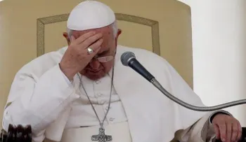 "Me siento interpelado a hacerme cargo de todo el mal que han hecho bastantes sacerdotes", expone el Papa Francisco 