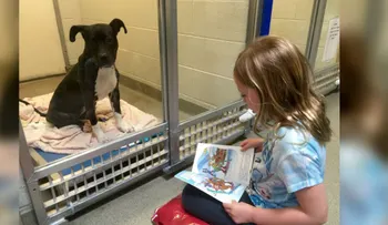 En este refugio los niños les leen a los perros para hacerlos más sociables