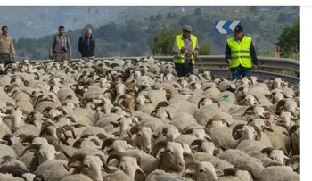 Campo apuesta por nuevas medidas contra incendios