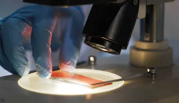 Científicos españoles encuentran un orden en el caos del melanoma