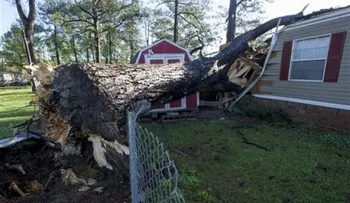 Tormentas y un tornado dejan heridos en Alabama, Georgia y Florida