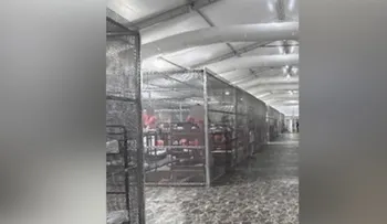 Detenidos en "Alligator Alcatraz" y sus familias denuncian confinamiento en jaulas metálicas