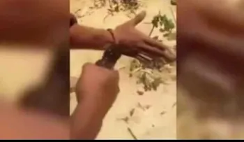 Un ladrón da brutal castigo a otro ladrón por robar sin permiso en una favela (VIDEO)