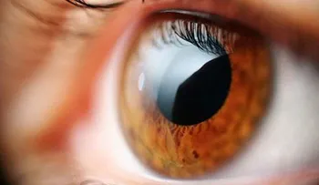 Revelan la receta para mejorar la pérdida de la visión y rejuvenecer la piel!