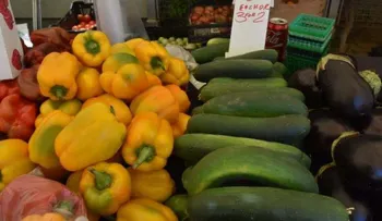 Una dieta vegetal con pocas grasas eleva los niveles de azúcar en la sangre, según estudio