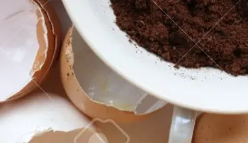 Cáscara de huevo y café: la combinación perfecta