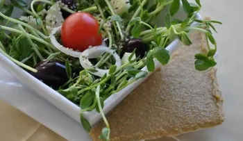 Mejora tu digestión con estos hábitos alimenticios