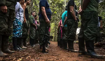 'FARCrim', las nuevas bandas criminales que controlan el negocio de las drogas en el sur de Colombia, según informe