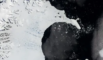 El grave escenario en 2100 si sigue aumentando el nivel del mar por la pérdida de hielo