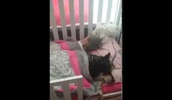 Perro duerme tiernamente junto a su dueña (Video) 