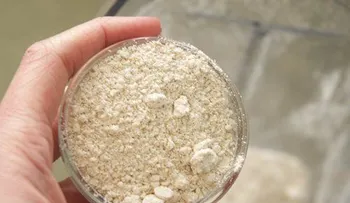 Mascarilla de levadura de cerveza y avena para el pelo y el cutis: Aplicación