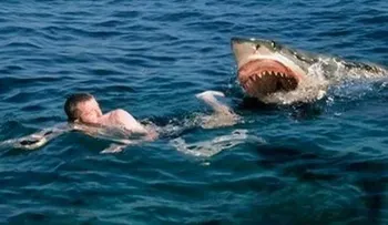 Tiburón mata a una joven surfista en Australia