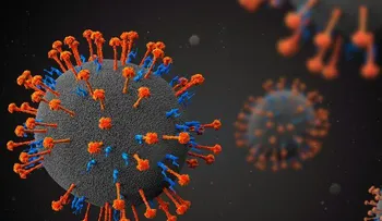 Prueban por primera vez en pacientes sanos tratamiento para curar Henipavirus