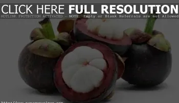El mangostan o jobo tu aliado contra el Parkinson, Alzheimer, gastritis, osteoporosis y otras enfermedades 