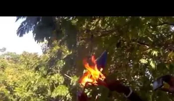 Haitianos queman la bandera dominicana y piden guerra 