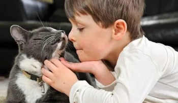 Estos son los beneficios de tener un gato en la casa