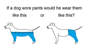¿Si un perro usara pantalones, cómo los vestiría?
