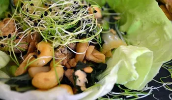 Los granos completos que no deben faltar en tu alimentación