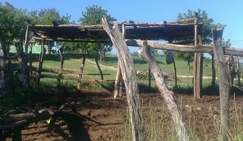 Roban cuatro reses del patio de un destacamento 