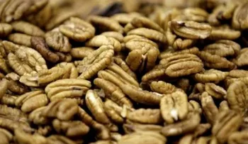 Las nueces prolongan la vida