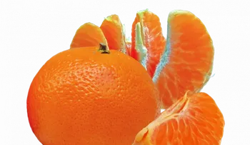 Aceite de mandarina para reforzar tu salud