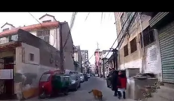 "El mejor amigo del hombre" guía ambulancia al lugar donde su dueño se había desmayado