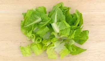 Un brote de E. coli ligado a variedad de lechugas pone en alerta a EE.UU 