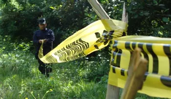 Presuntos pandilleros en El Salvador matan 29 el primer día del año
