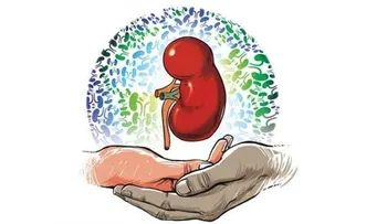 Qué órganos se pueden donar para ser trasplantados