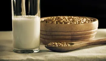 Cómo hacer queso a partir de leche vegetal