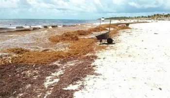 Cambio climático afectaría turismo y suministro de agua